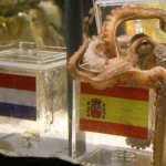 Duitse octopus Paul brengt zijn stem uit