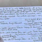 memo-on-brexit-the-telegraph-steve-back